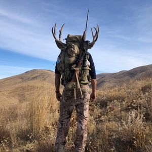 Meet your Posher, Josef